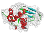 Exploration of the influence of small molecules on protein fibrillogenesis